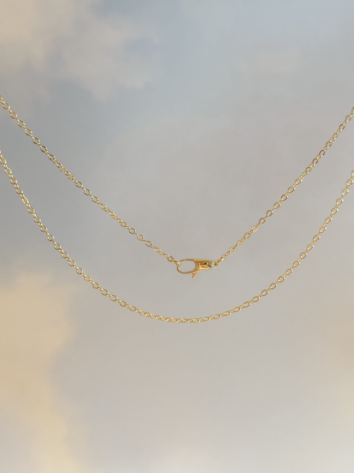 Gold Filled Flat Round Chain Necklace