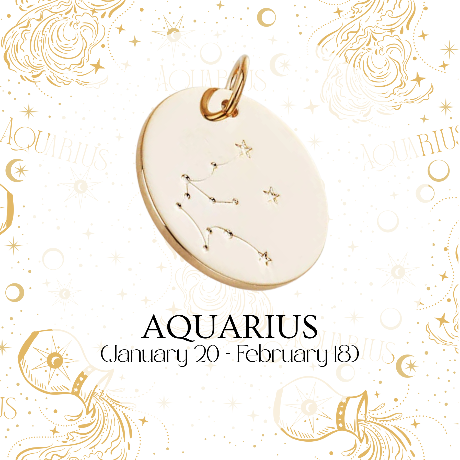 Zodiac Coin Charm - Layer It Jewelry