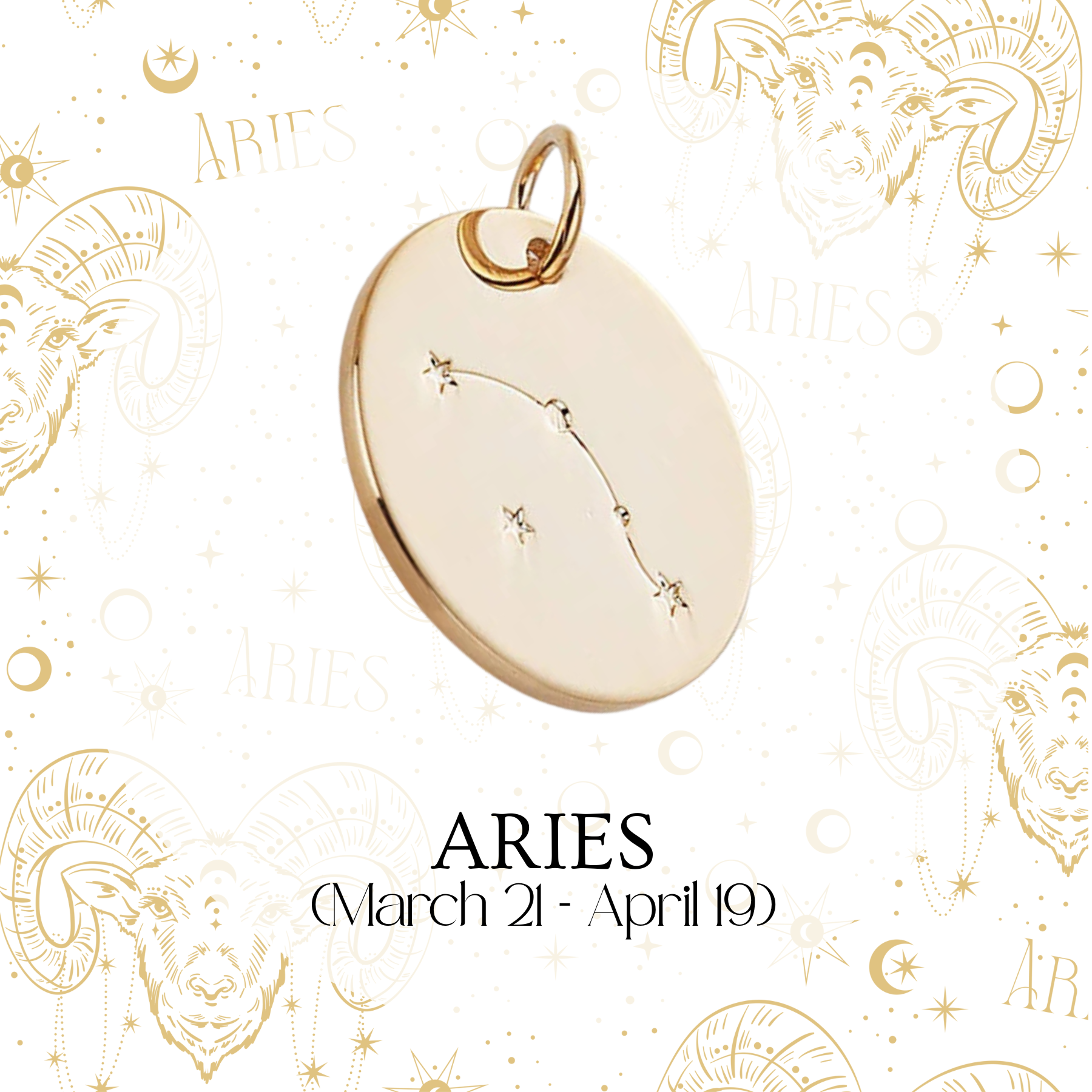 Zodiac Coin Charm - Layer It Jewelry