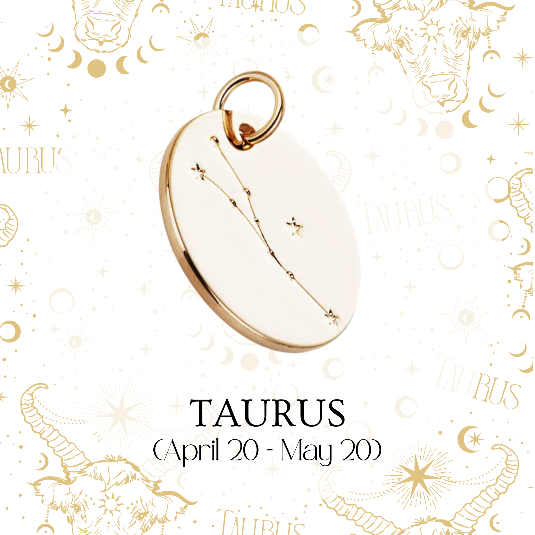 Zodiac Coin Charm - Layer It Jewelry