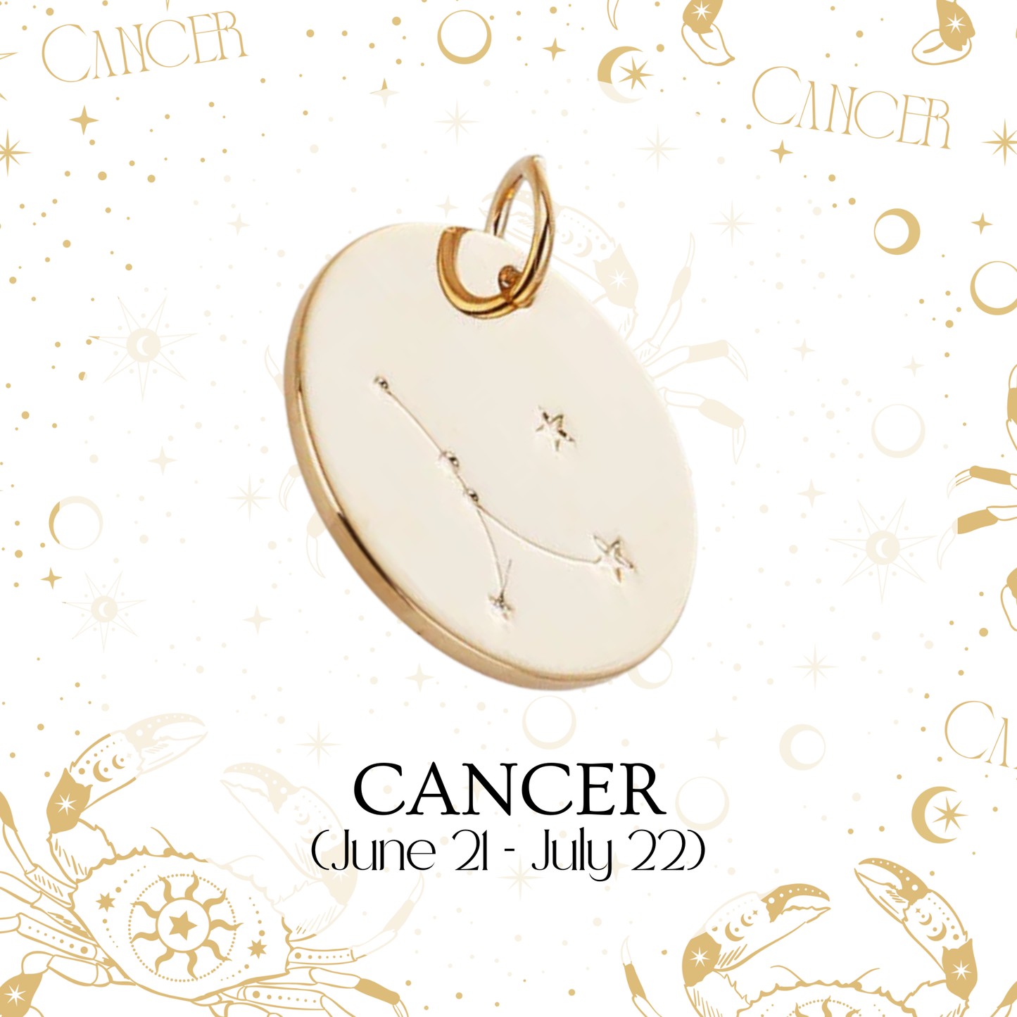 Zodiac Coin Charm - Layer It Jewelry
