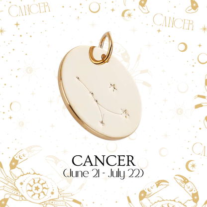 Zodiac Coin Charm - Layer It Jewelry