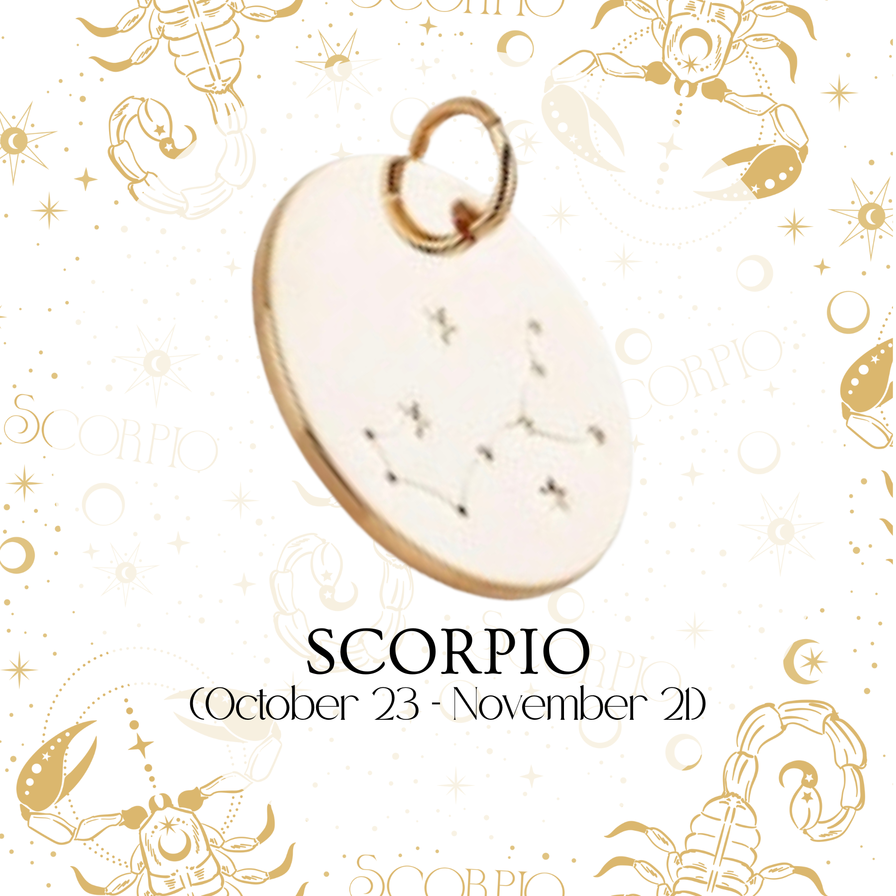 Zodiac Coin Charm - Layer It Jewelry