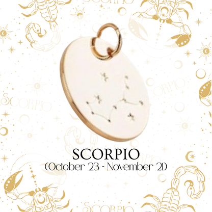Zodiac Coin Charm - Layer It Jewelry