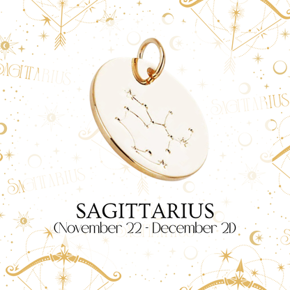 Zodiac Coin Charm - Layer It Jewelry