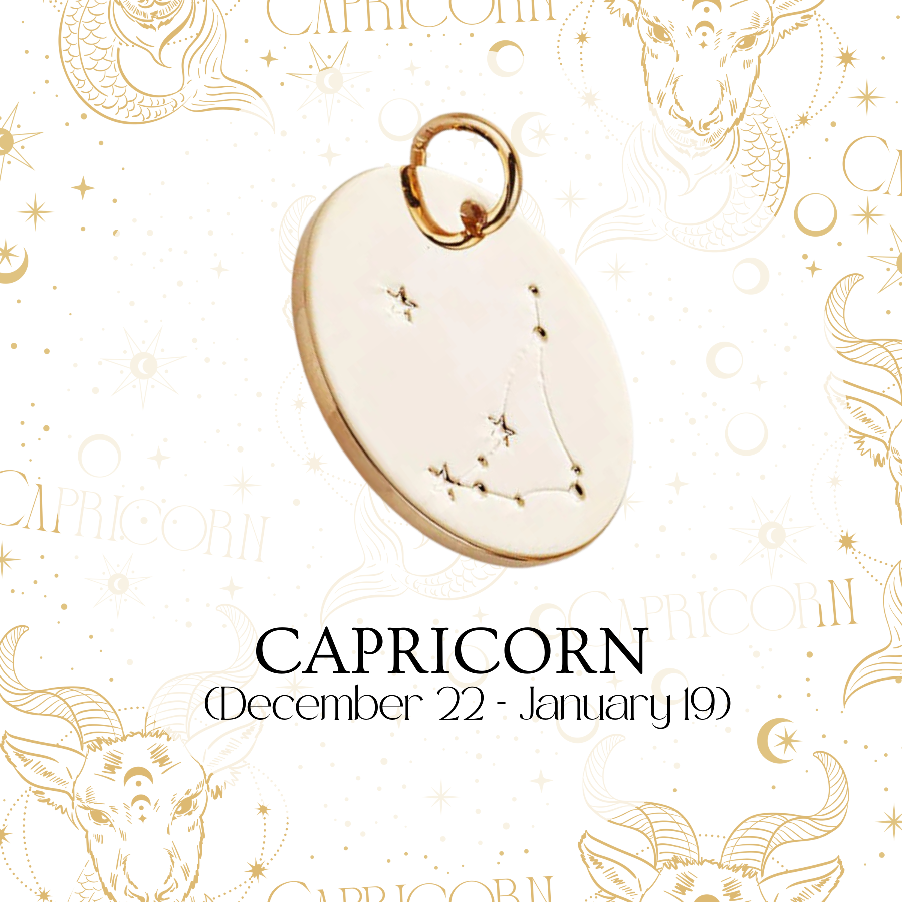 Zodiac Coin Charm - Layer It Jewelry