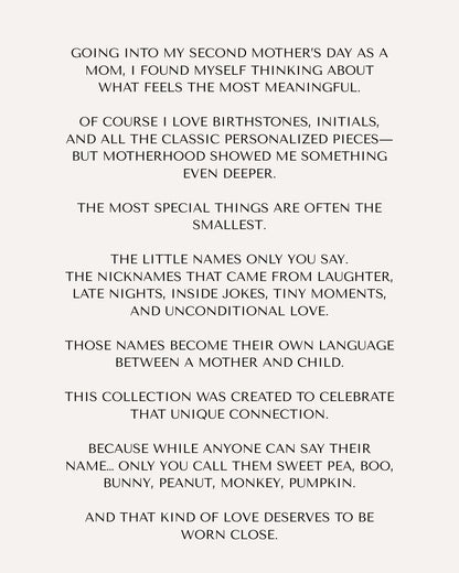 The Nickname Charm Necklace - Layer It Jewelry