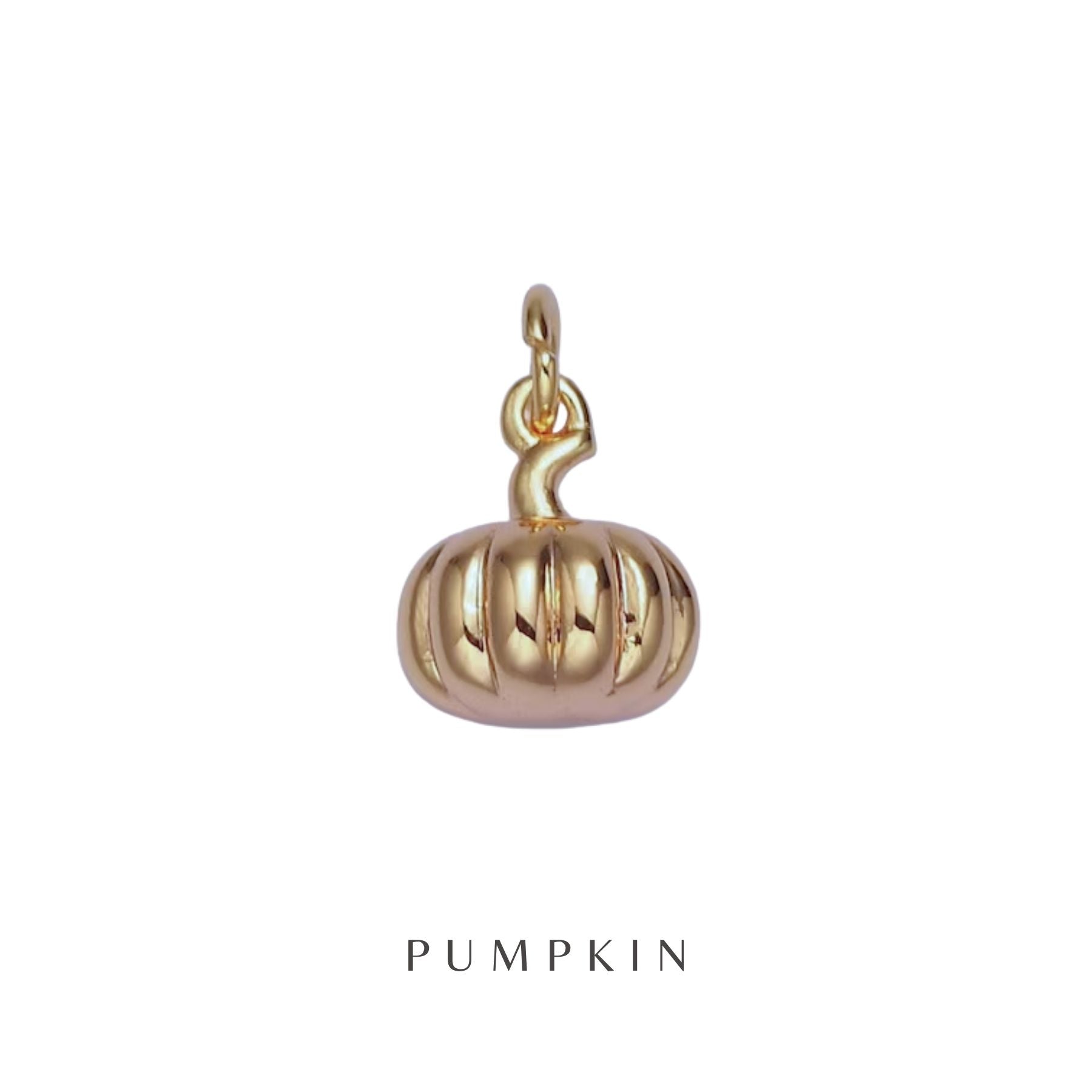 The Nickname Charm Necklace - Layer It Jewelry