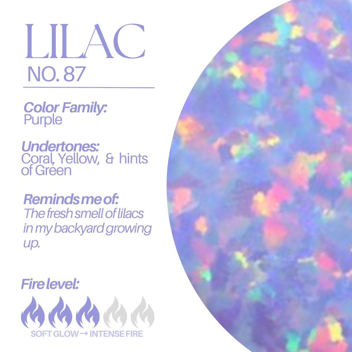 The Purple Lab Opal Hoops - Layer It Jewelry