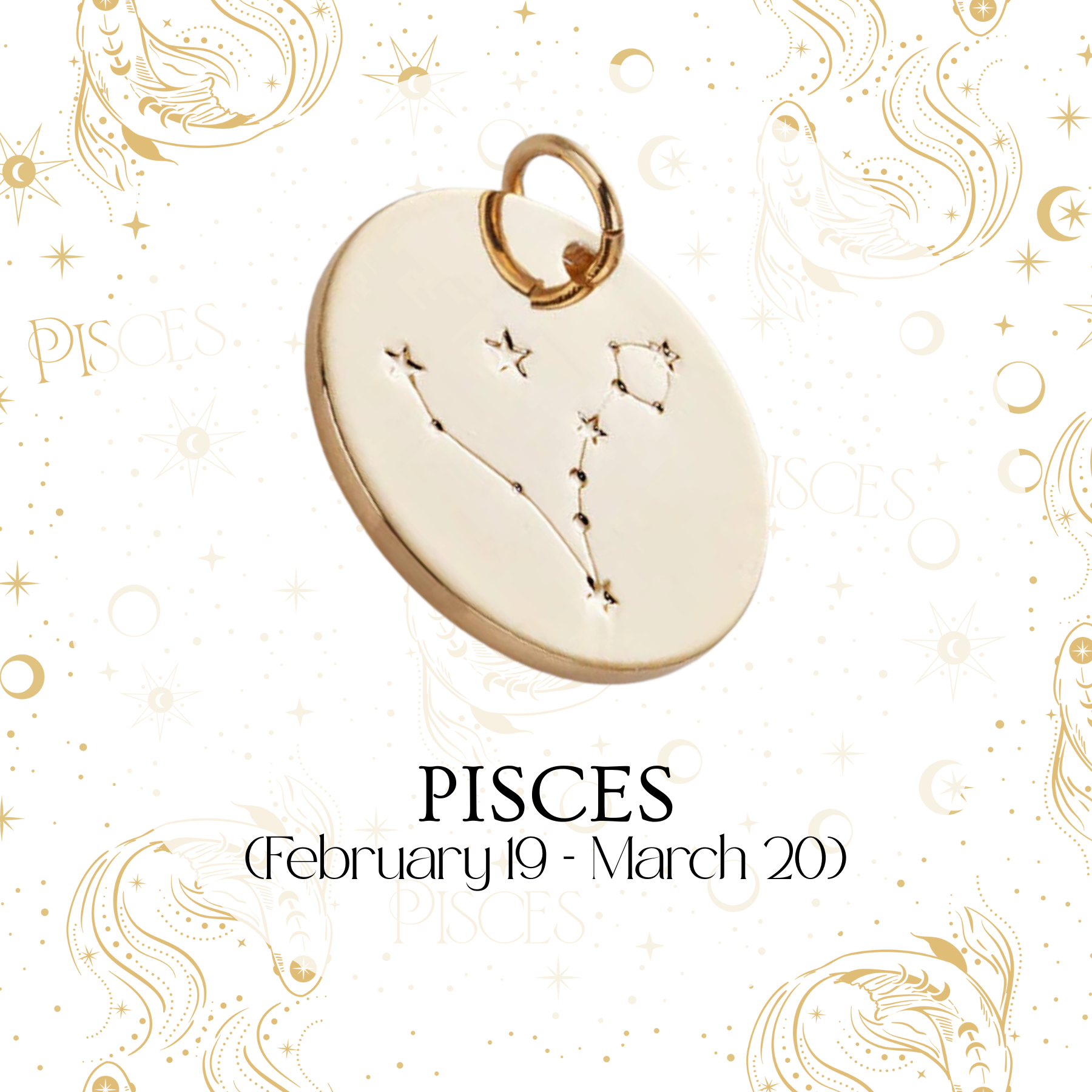 Zodiac Coin Charm - Layer It Jewelry