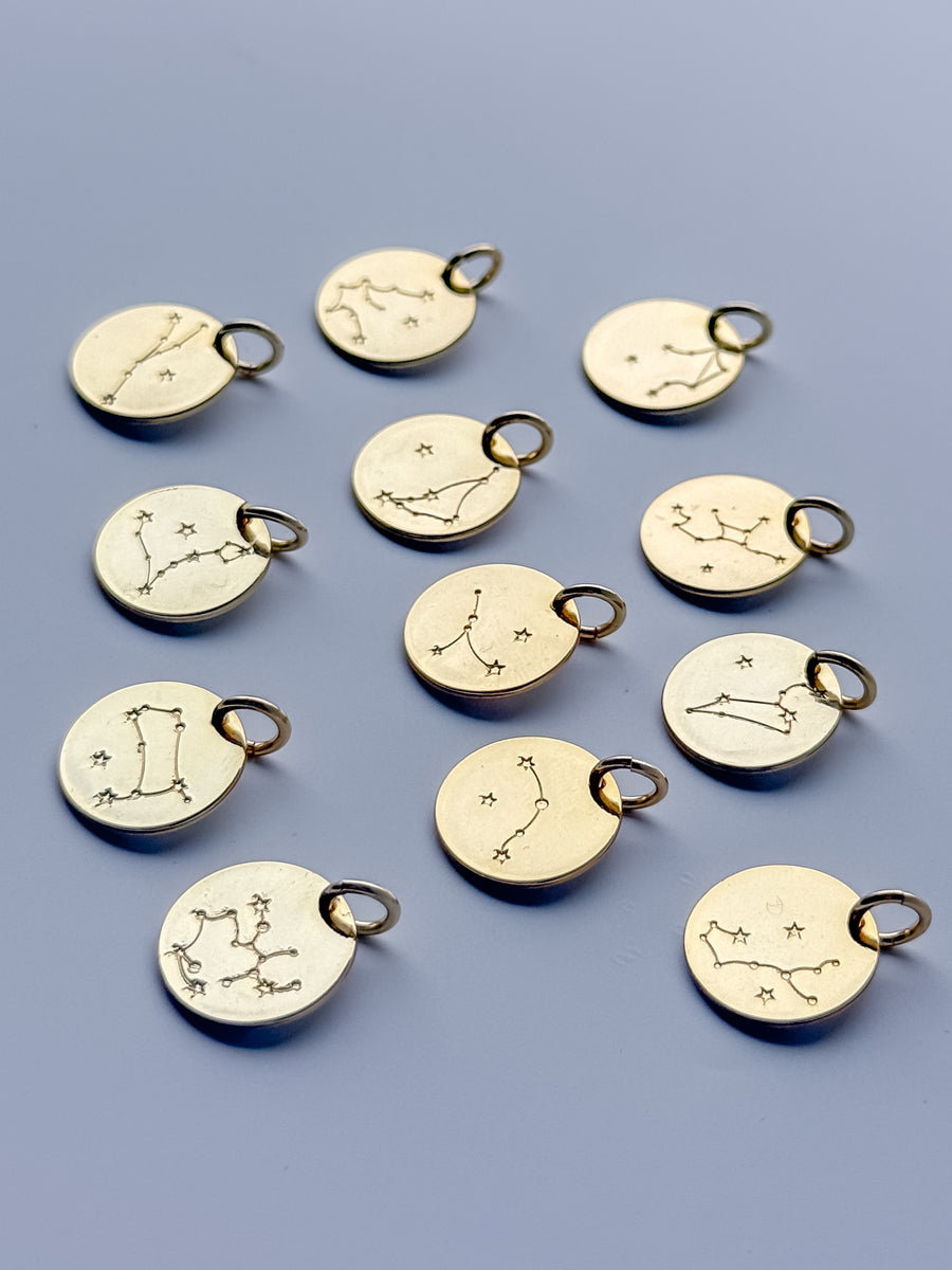 Zodiac Coin Charm